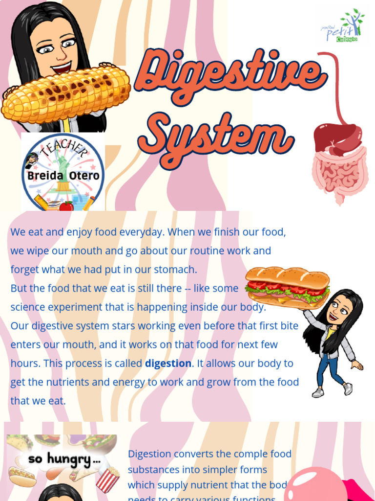 Digestive System PDF