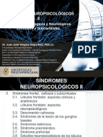 Sindromes Neuropsicologicos II, 2da Clase