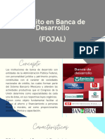 Crédito en Banca de Desarrollo (FOJAL)