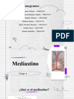 Exposición Del Mediastino