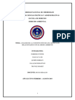 Derecho-Ambiental-Analisis 09052019