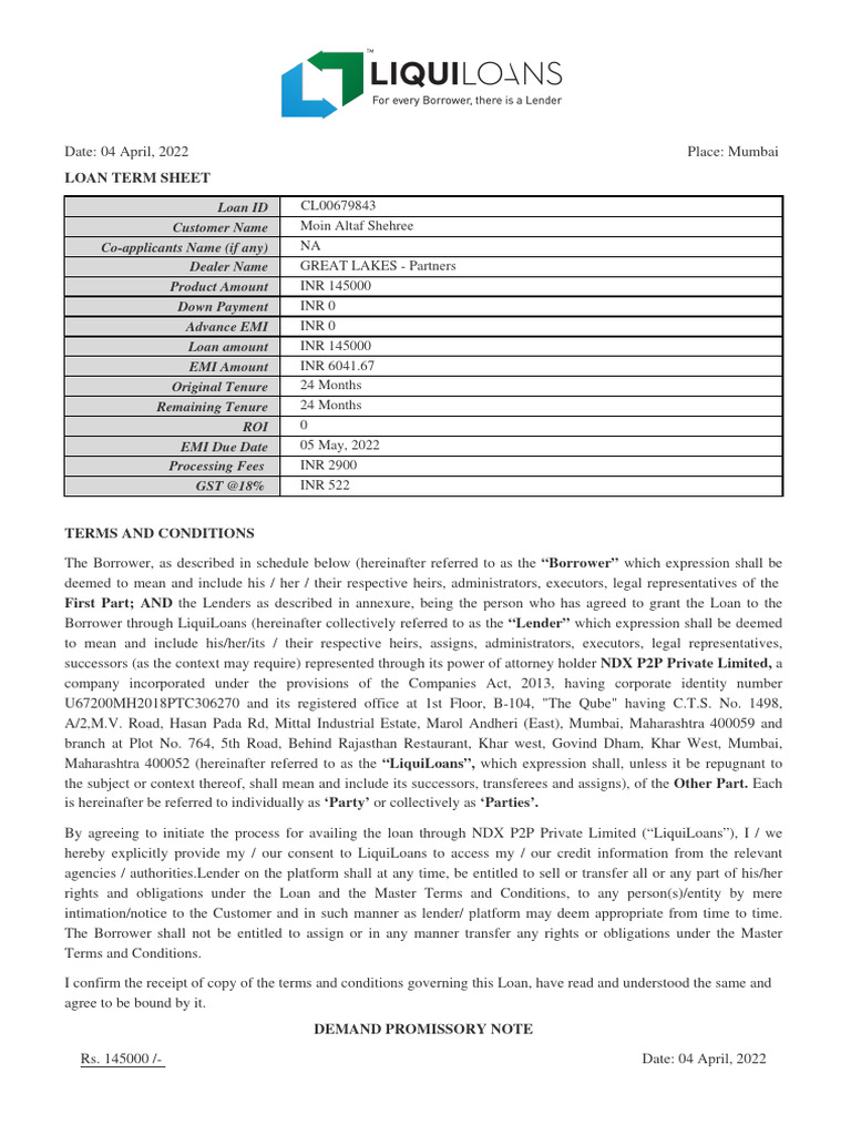Borrower Agreement Preview | PDF