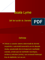 Boala Lyme