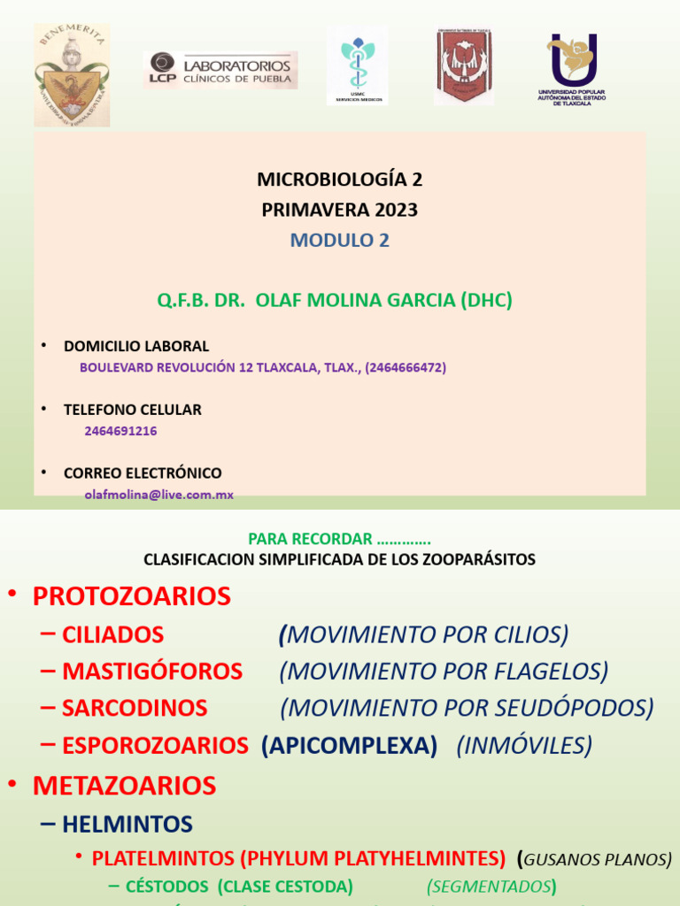 Micro 2 | PDF