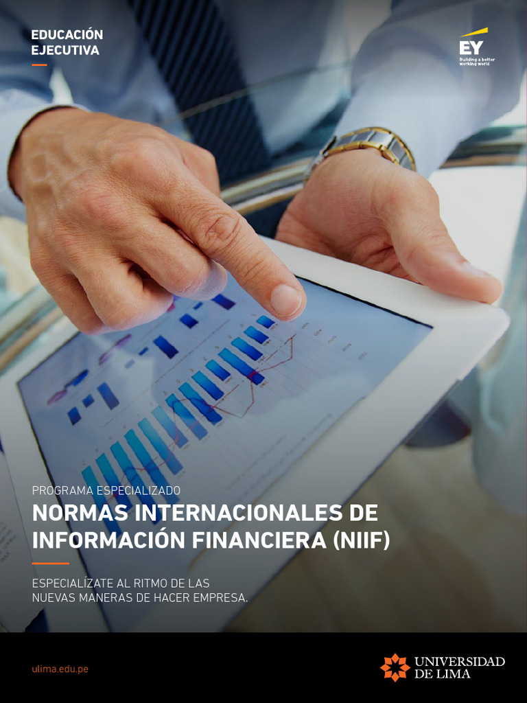 Especialización en NIIF y Finanzas | PDF | normas internacionales de ...