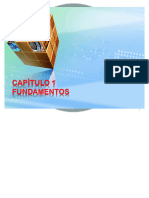 CAPITULO 1 FUNDAMENTOS.pdf