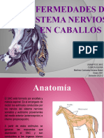 Enfermedades Del Sistema Nervioso en Caballos