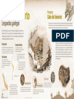 Ecología y Conservación Del Gato Del Desierto - Infografía
