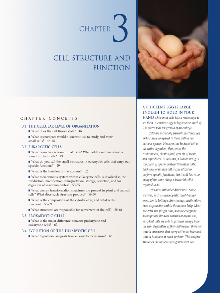 Cell Structure & Functions Notes PDF