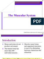 The - Muscular - System - For Students