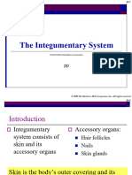 The - Integumentary - System - Students Hand-Outs