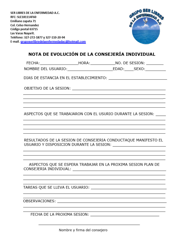 Evolución de Consejería Individual | PDF