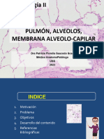 T3clase Numero 3 Pulmón, Alveolos, Membrana Alveolo-Capilar