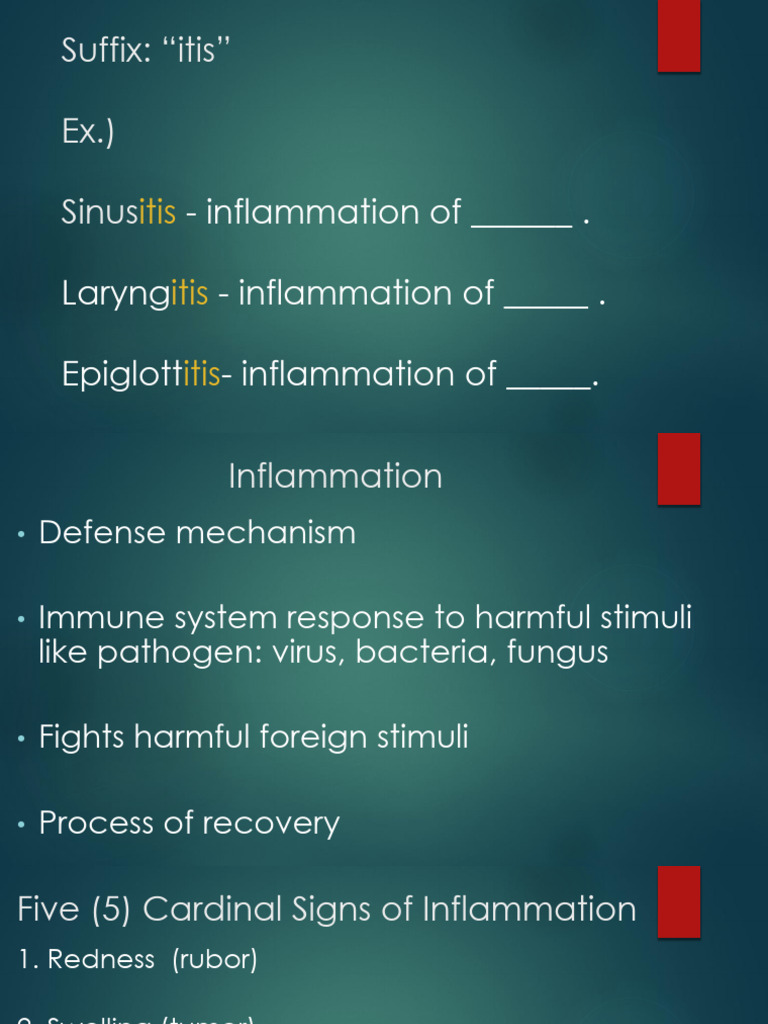 3. Sinusitis Laryngitis Epiglottitis PDF