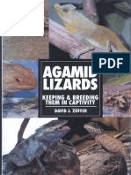 (David J. Zoffer) Agamid Lizards Keeping Breedi