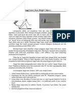 Anthropometri Tinggi Lutut