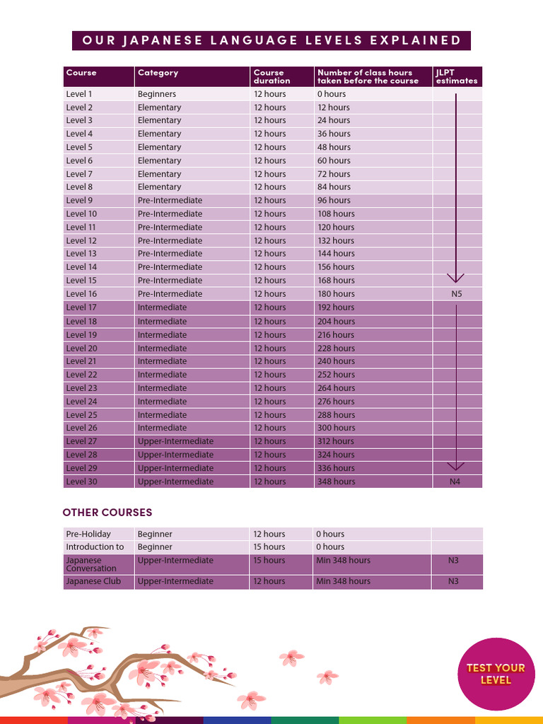 Japanese lanugage level chart pdf schools language education