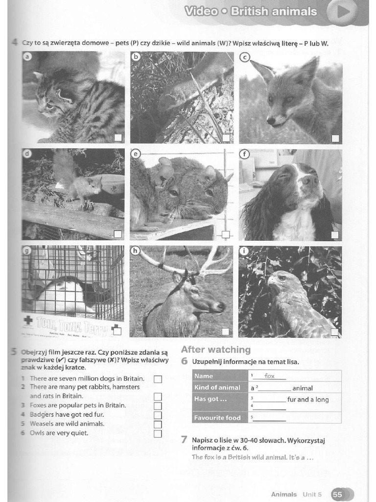 obraz-pdf
