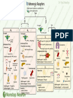 Adrenergic Receptors PDF Poster