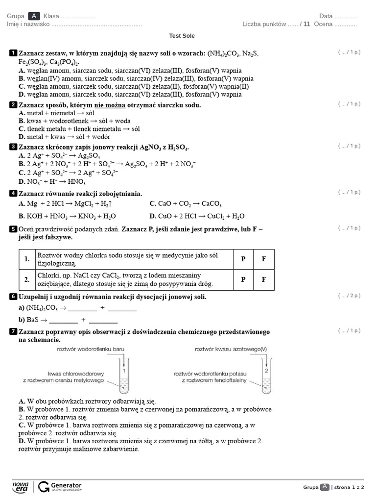 Test Sole Test (Z Widoczną Punktacją) PDF