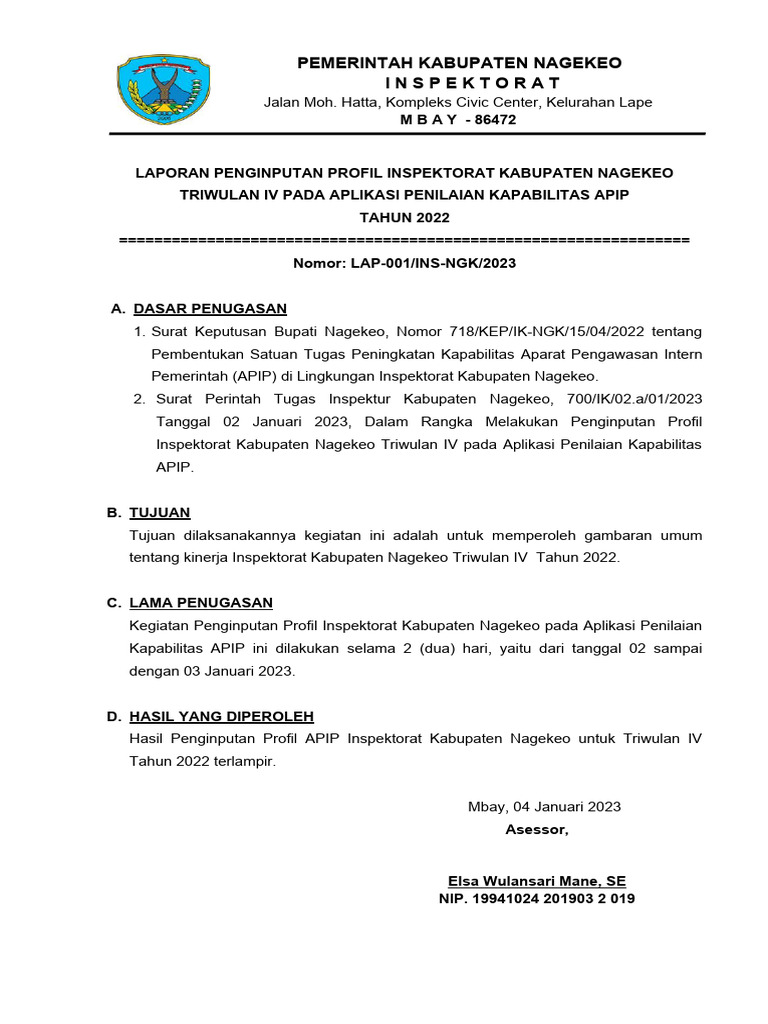Laporan Input Profil APIP | PDF