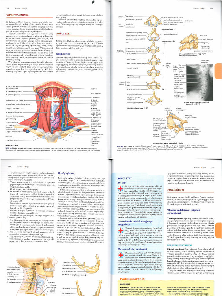 Anatomia Kliniczna - Tom I. Cz.3. | PDF