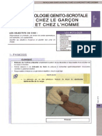Pathologie Génito-Scrotale Chez Le Garcon Et Chez L'homme - KB Uro 13