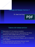 Patología Del Sistema Nervioso - Tumores