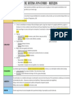 NIVELES DEL SISTEMA FONATORIO