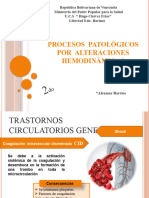 Procesos Patologicos Por Alteraciones Hemodinamicas