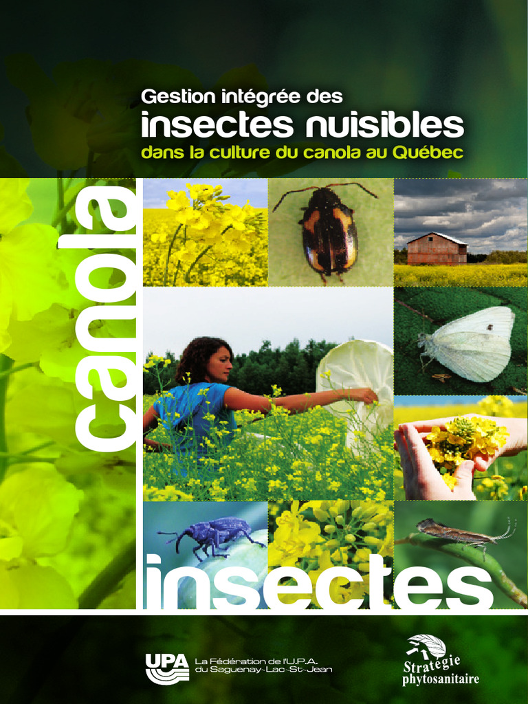 Gestion Integree Des Insectes Nuisibles Dans La Culture Du | PDF
