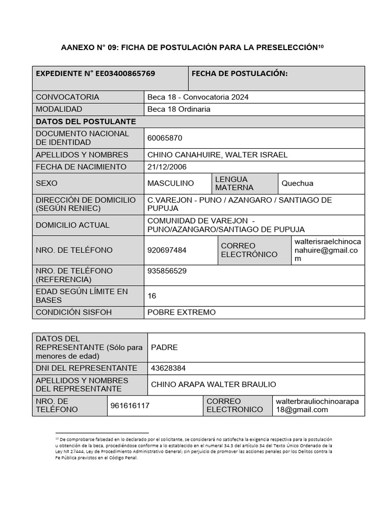 Ficha de Postulación Beca 18 2024 | PDF