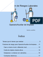 Operario:Auxiliar de Limpieza en Lectura Fácil (Prácticas Máster PRL)