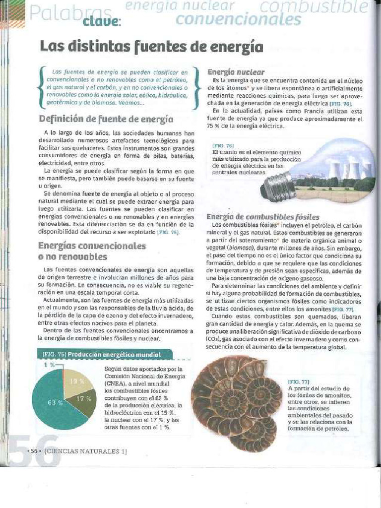 Fuentes de Energía | PDF