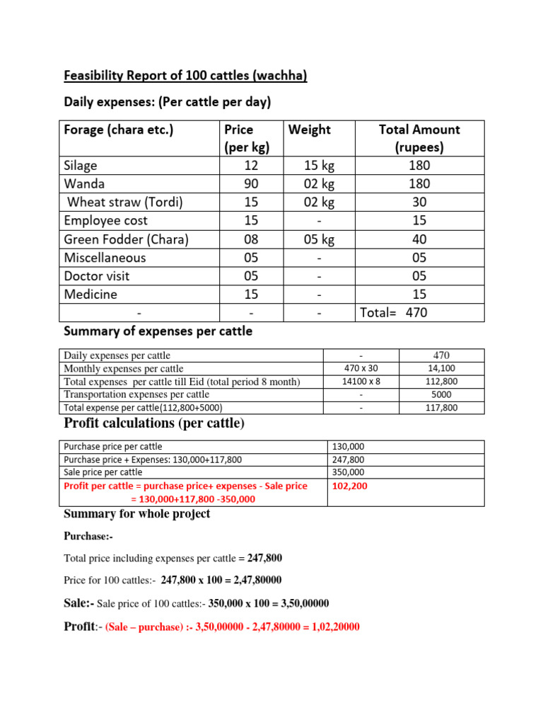 Cattle Farming Feasibility Report | PDF