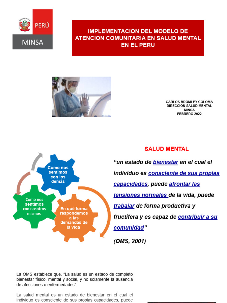 Modelo de Atención Comunitaria en Salud Mental | PDF | Ciencia y ...
