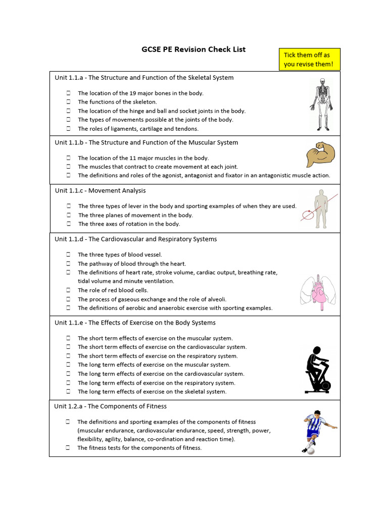 GCSE-PE-Revision-Check-List | PDF | Skeletal Muscle | Physical Fitness