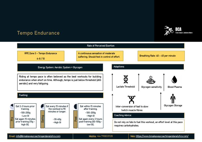 Tempo Endurance PDF | PDF