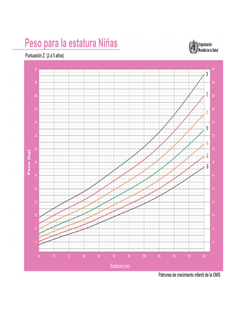 PATRONES OMS visual data 2