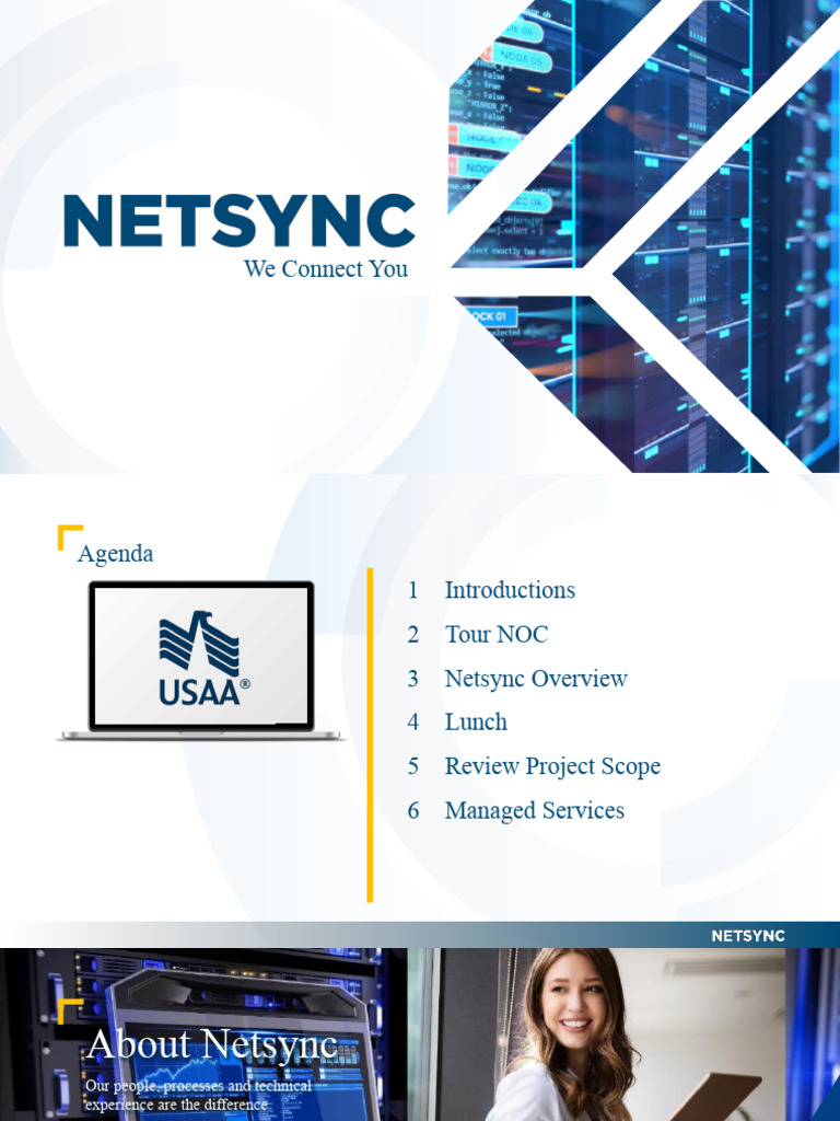 Netsync PDF