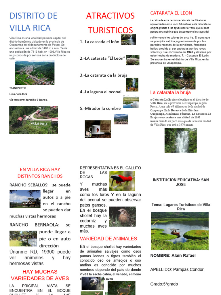 Triptico Distrito de Villa Rica | PDF