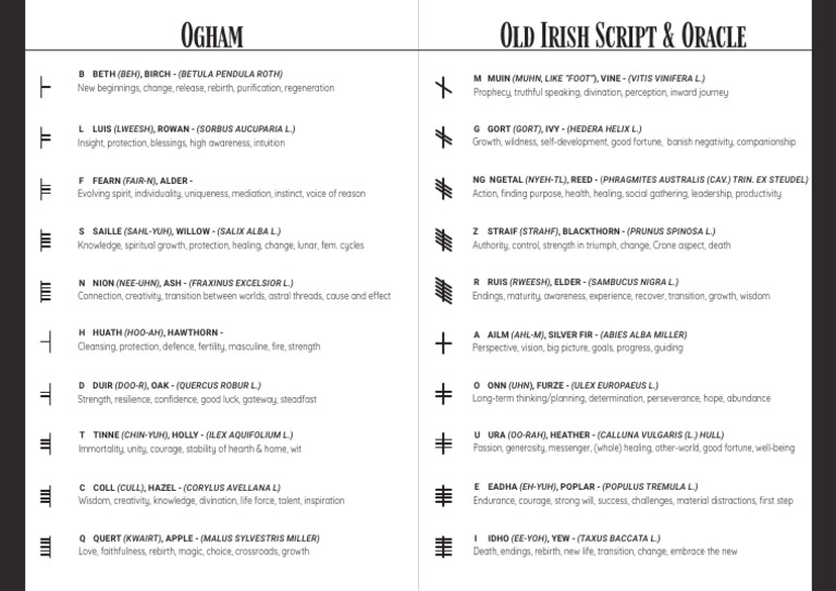 CheatSheet-Ogham-Horizontal | PDF | Botany | Trees