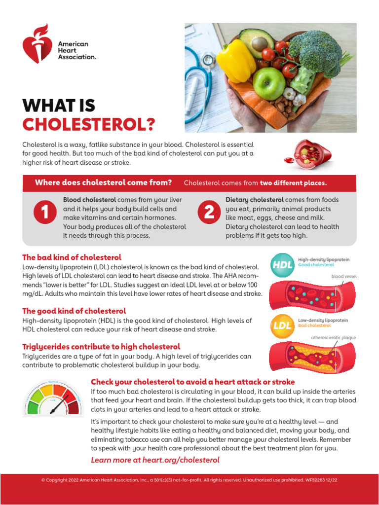 What is cholesterol pdf