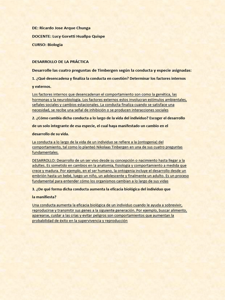 Desarrollo de La Practica | PDF