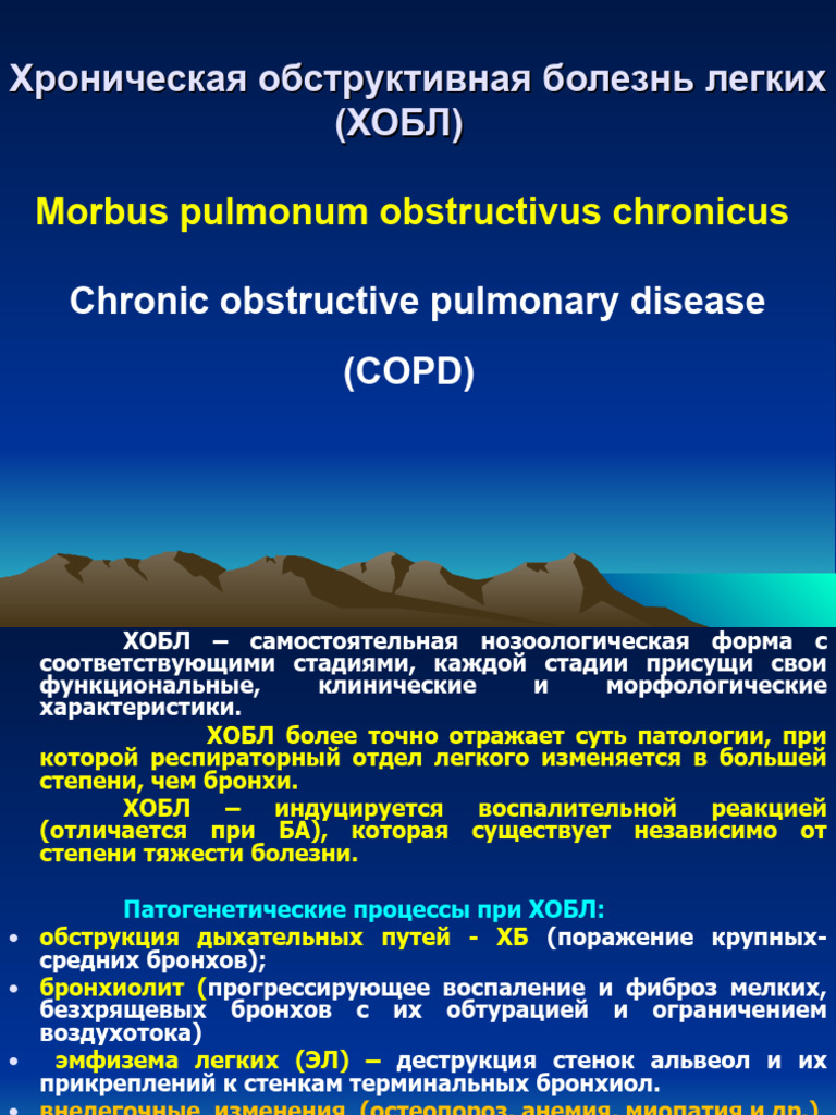 Morbus Pulmonum Obstructivus Chronicus: Chronic Obstructive Pulmonary  Disease (COPD) | PDF