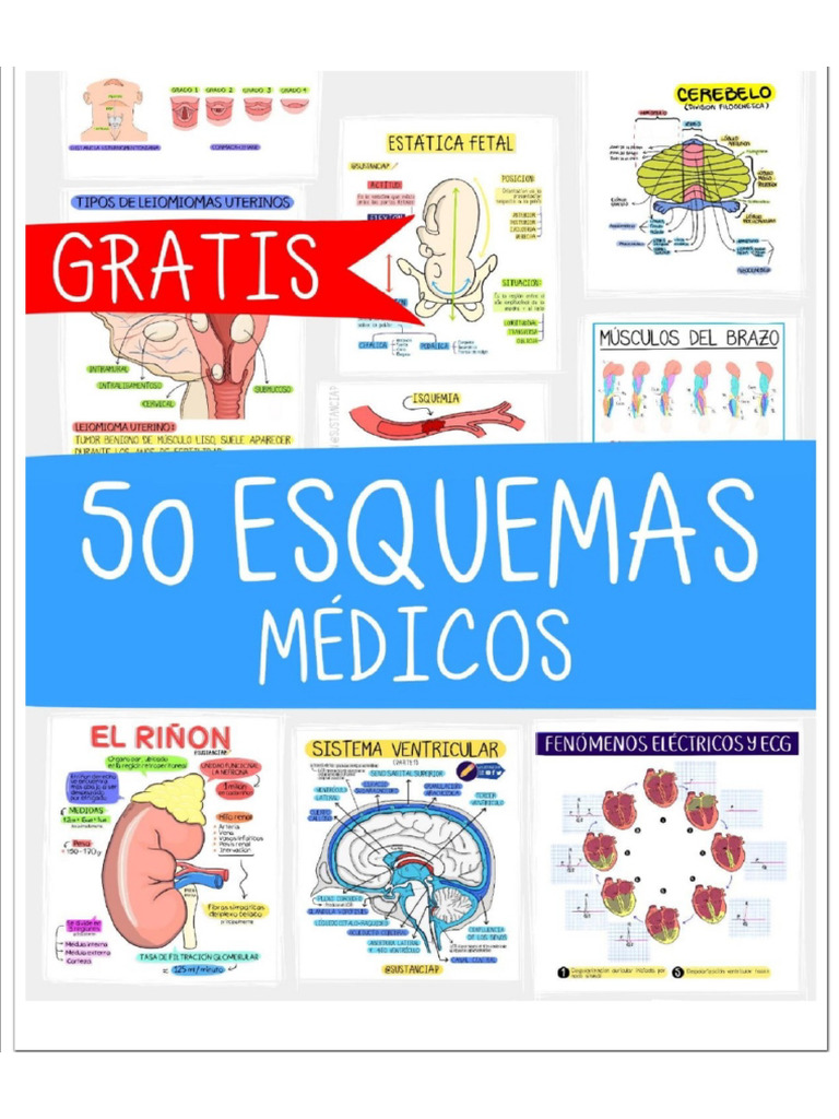 Apuntes de Medicina | PDF