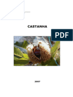 Castanha