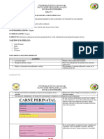 Guia 2 Carnet Perinatal