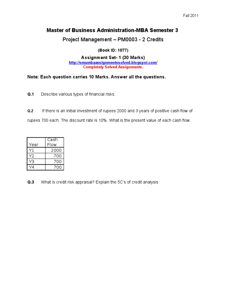 MBA Project Management Assignment Guide | PDF