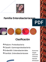 Familia Enterobacteriaceae